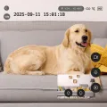 TESLA SecureQ SC10 - wewnętrzna kamera smart