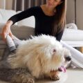 TESLA PetCare Station TQ500 Pro – zestaw do pielęgnacji sierści zwierząt domowych