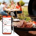 TESLA Cook BBQ200 - bezprzewodowa sonda temperatury