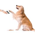 TESLA PetCare Station TQ500 Pro – zestaw do pielęgnacji sierści zwierząt domowych