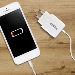 TESLA Power Charger T220 - dwukanałowa ładowarka szybkiego ładowania 25 W PD 3.0/PPS (biały kolor)